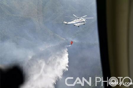 1590714695590 1590714695590